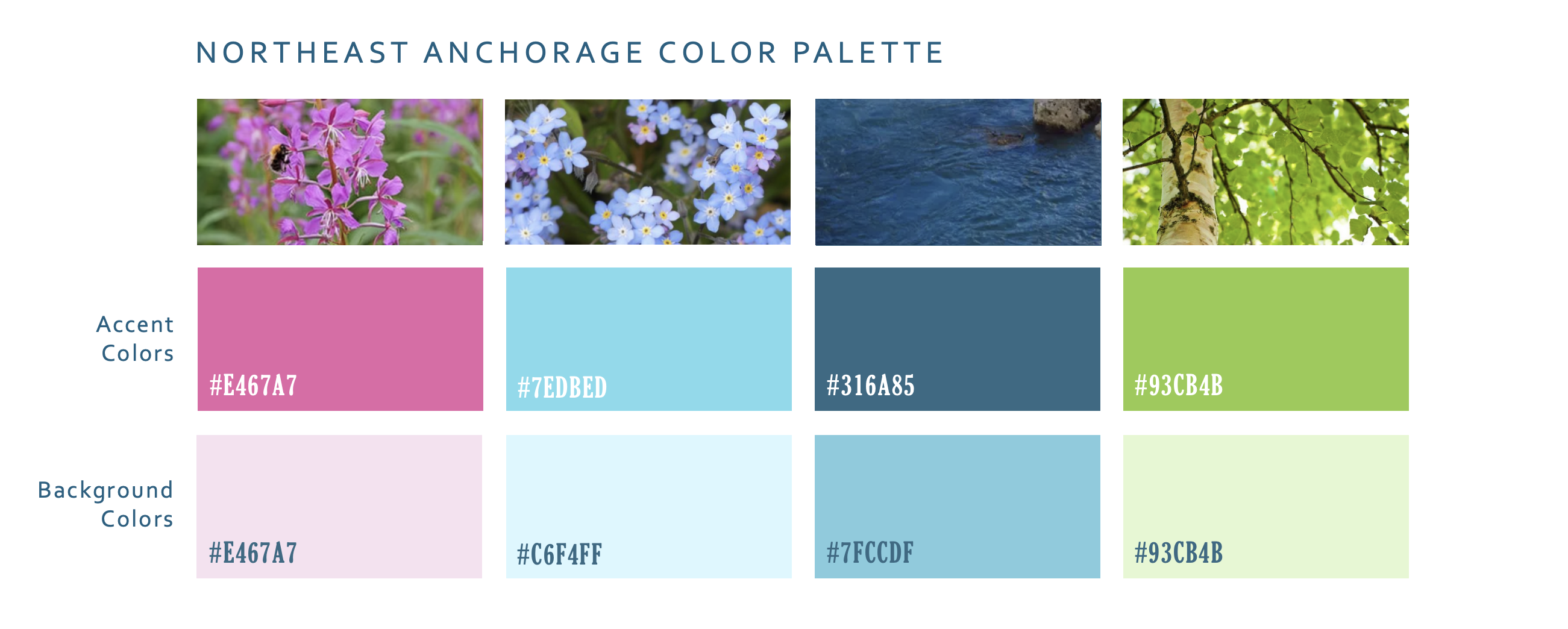 Fireweed, Alpine Forget me not wildflowers, creek, and birch color palette for Northeast Anchorage, Alaska